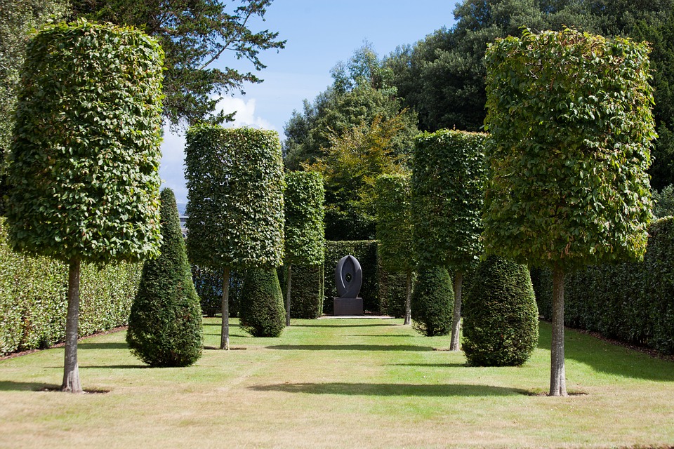 Park, Hedge, Garden, Trees, Trimmed, Cylinder, Cut