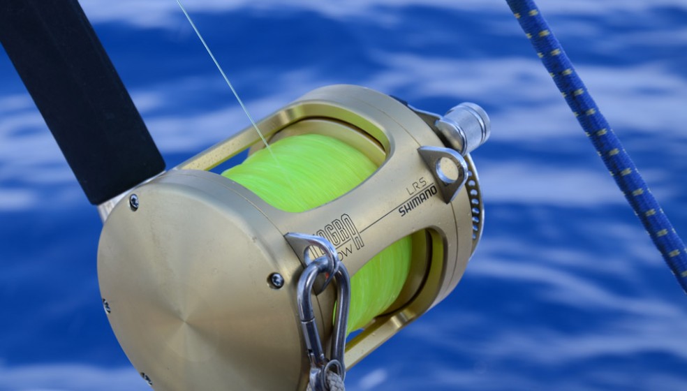 What to Look For in a Top Rated Fluorocarbon Fish Line? - My Press Plus