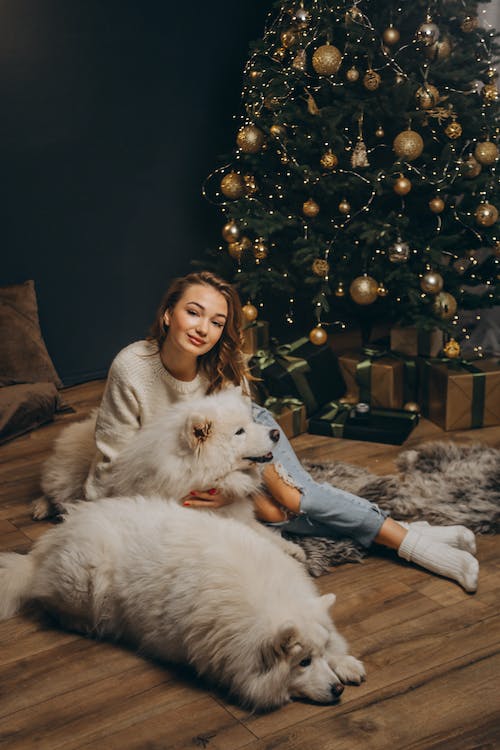 Free Woman Posing with Dogs near Christmas Tree Stock Photo